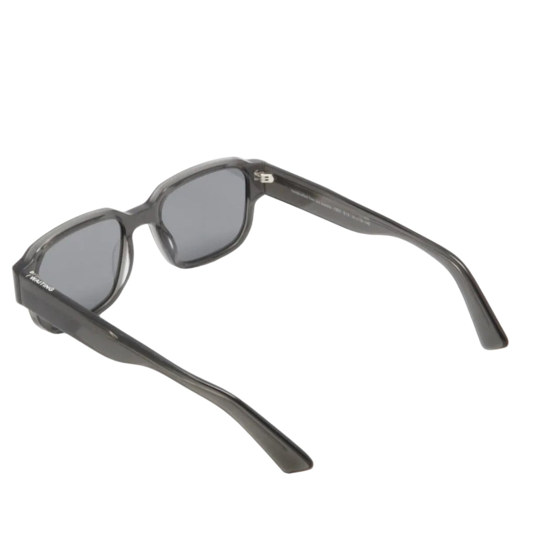 Waiting For The Sun Ced Sunglasses E13 Black Pola Lens - Merchant Menswear