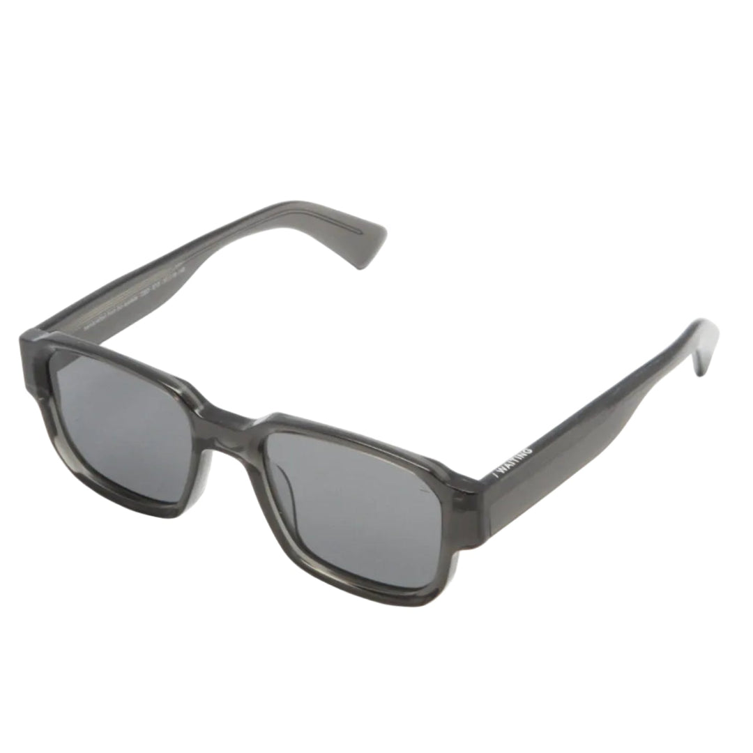 Waiting For The Sun Ced Sunglasses E13 Black Pola Lens - Merchant Menswear