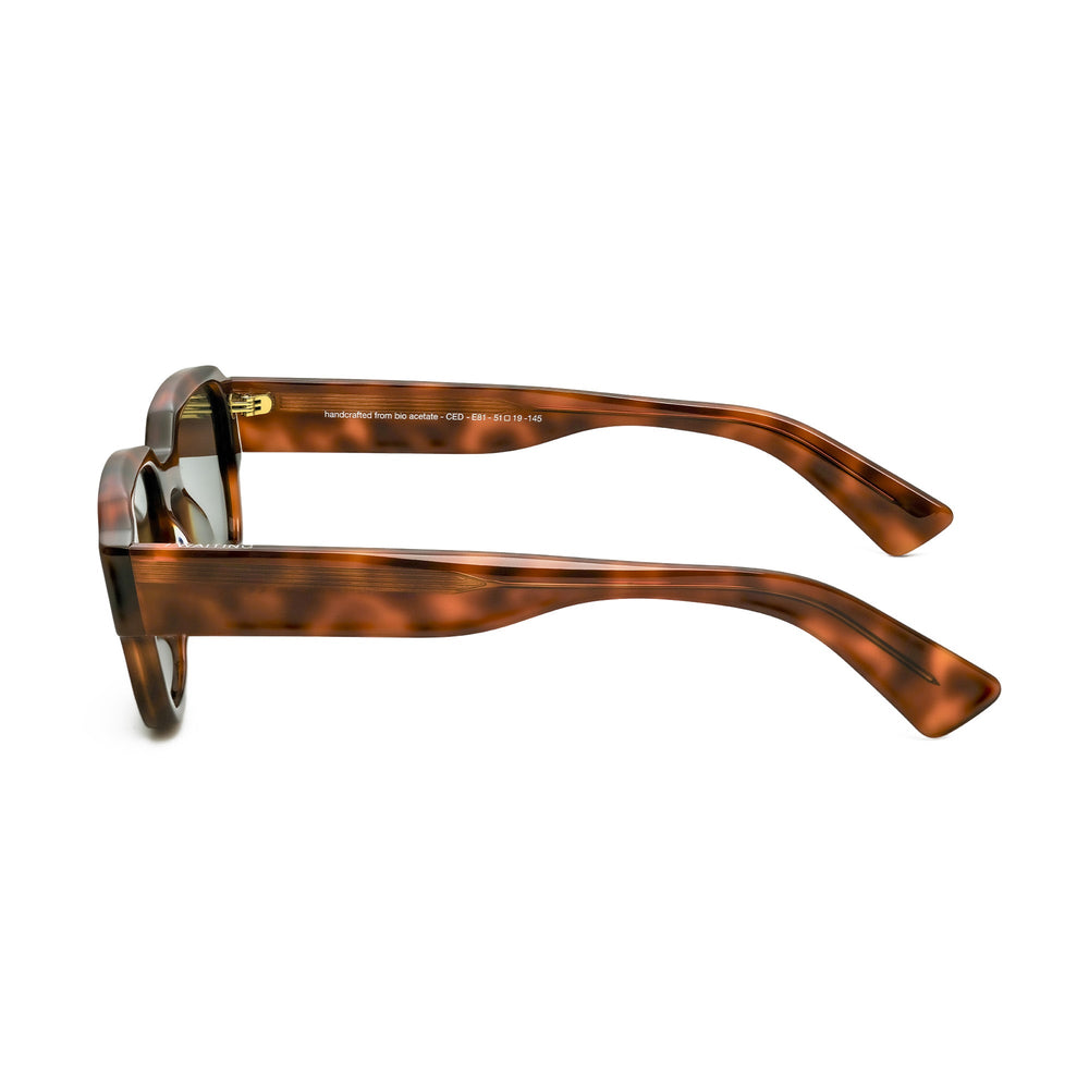 Waiting For The Sun Ced Sunglasses E81 Ecaille Blonde Green Lens - Merchant Menswear